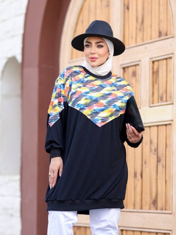 photo_72_2026-07-15_22-25-12 Street-Chic Color-Block V-Yoke Longline Sweatshirt